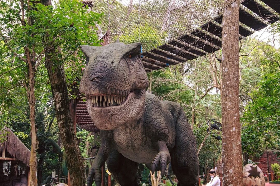 Dia das Crianças no Zoo São Paulo: criança entra grátis e leitor Reconheça tem mais desconto