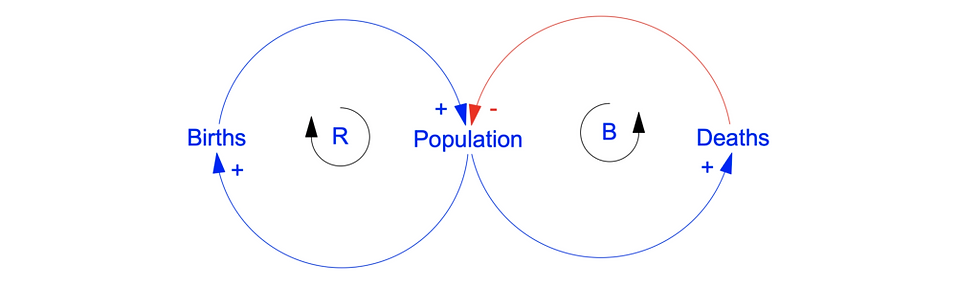 Population Growth - Causal Loop Diagram