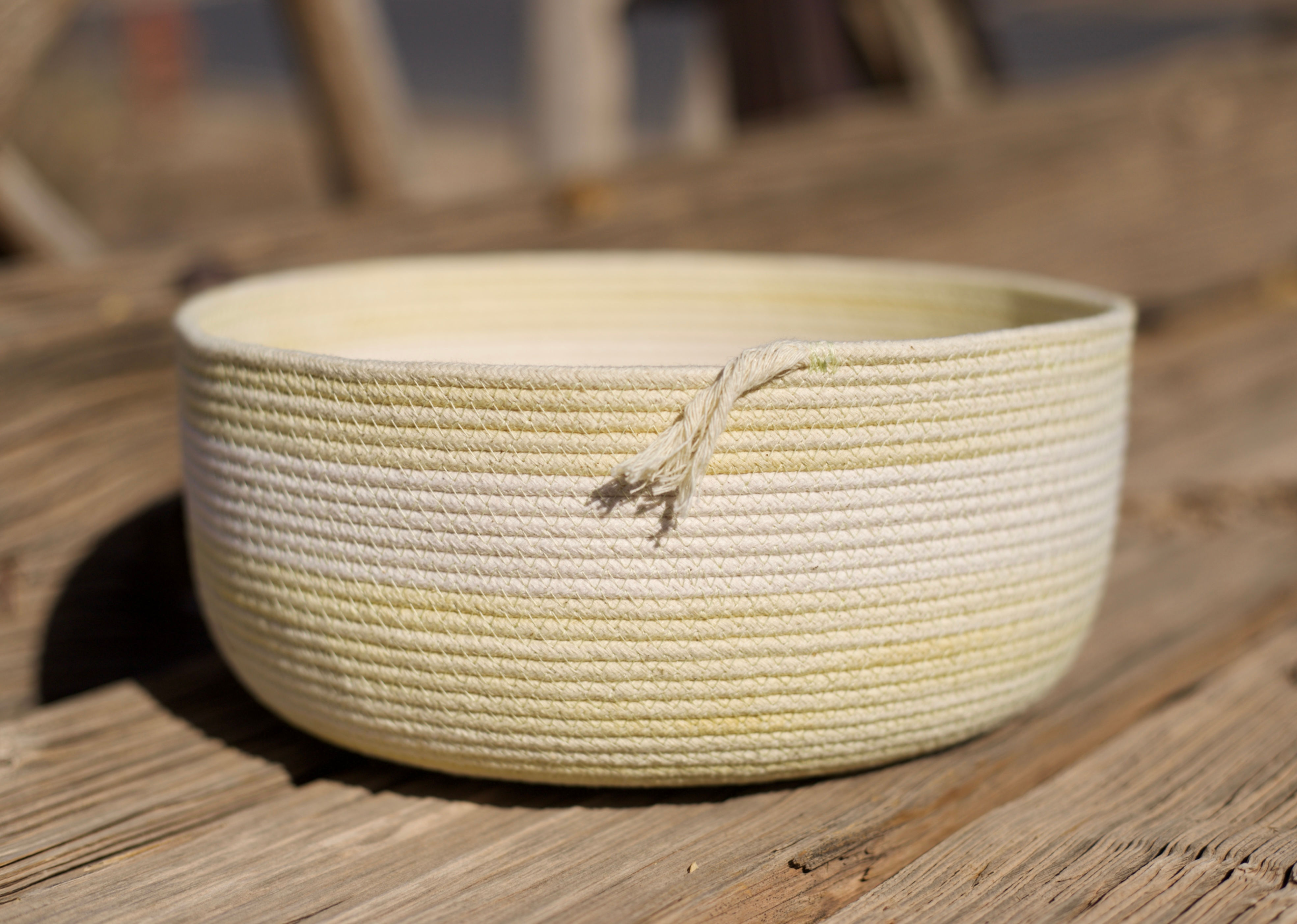 Layered Rabbit Brush