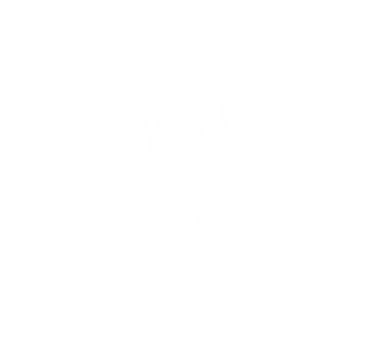 DSS_New Logo_White-10.png