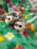 47183_edited.jpg