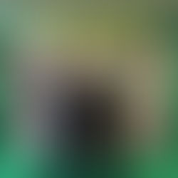 Campaign win for Birmingham Edgbaston MP as five schools set to get free breakfast clubs