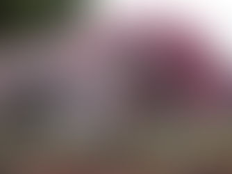 梅を剪定するコツ