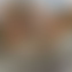 果樹を剪定する時期