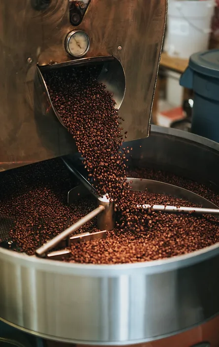 coffee beans.webp