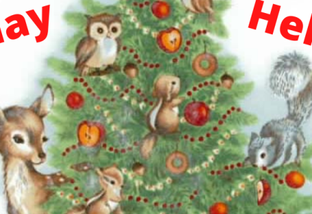 The Wish Tree
