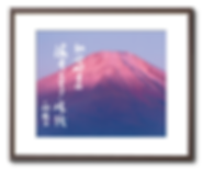 見本4.png