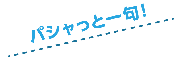 パシャ.gif