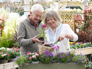 Create your own hanging basket at Dobbies Ayr this May