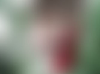 All Aboard Santa’s Grotto at Dobbies Ayr Store