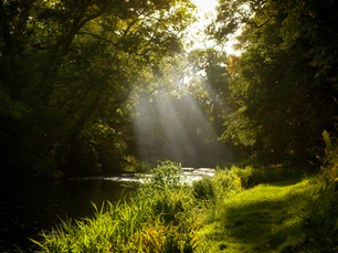Dalrymple announced as 13th designated ‘Biosphere Community’