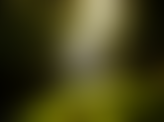 Dalrymple announced as 13th designated ‘Biosphere Community’