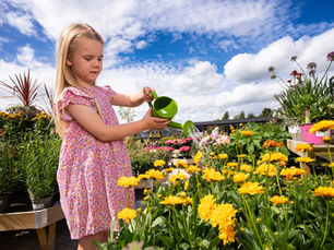 Ayr Garden Centre invites gardeners to get hands-on with tomato and flower growing
