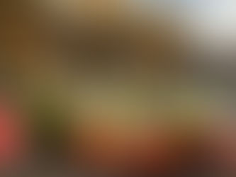 Young people visit St Sophia’s Primary