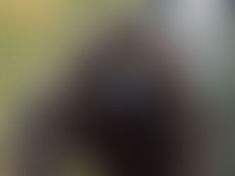 Tamfest Returns to Rozelle House Museum and Galleries with Spooky Sculptures and a Gothic Theatre!