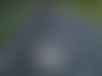 Council Leaders call for action on ‘unsafe’ trunk roads