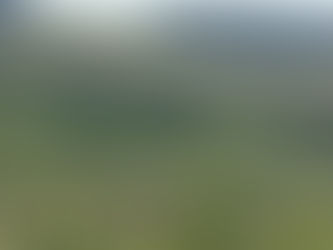 A stronger voice for the nation’s trees – Scotland’s Finest Woods appoints trio of trustees