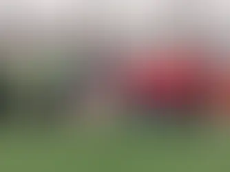 Young footballers spread their wings