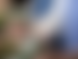 Dobbies offers free festive-inspired workshops at its Ayr store in November