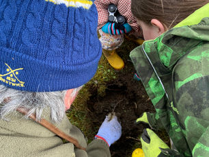 Still time to apply for £1,000 grants for planting trees in Ayrshire