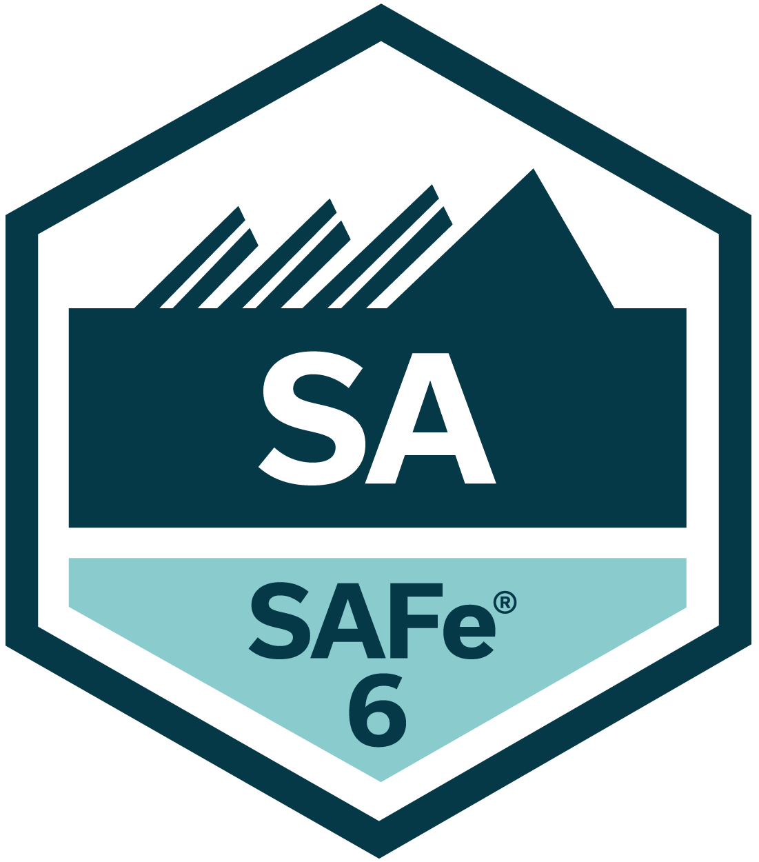 SA-6.webp