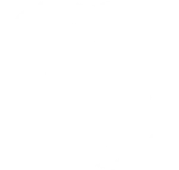 NEST3818_logo nest consulting_w50% hite logo.webp