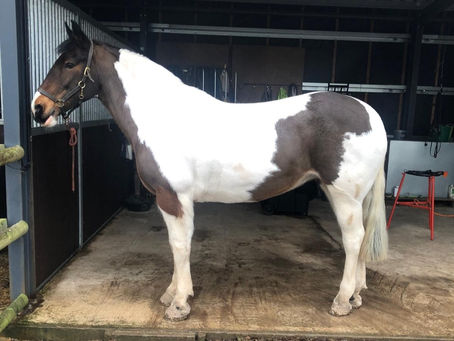 Why Weigh Tapes Aren’t Telling You the Full Story