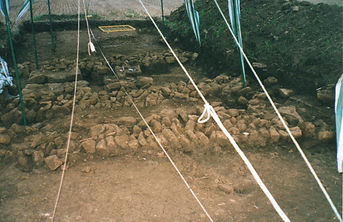 FLAG dig 2004 villa.jpg