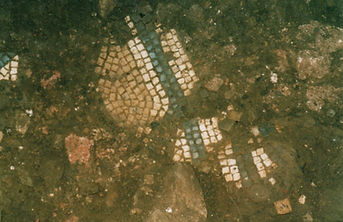 FLAG dig 2004 Mosaic.jpg