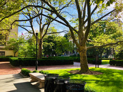Campus-summer-1.jpeg