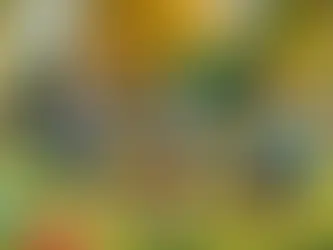 Unlocking the Power of Natural Environment Teaching: A Playful Approach to ABA Therapy