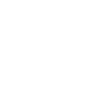 Asset 4_2x.png