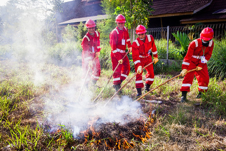 Cómo evitar los incendios en las turberas de Indonesia