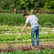 Update: Do You Have Employees, Volunteers Or Interns Working On Your Farm?