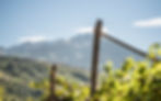Urlaub in Algund in Ferienwohnungen, mit Hund, Familie, Wandern in Algund
