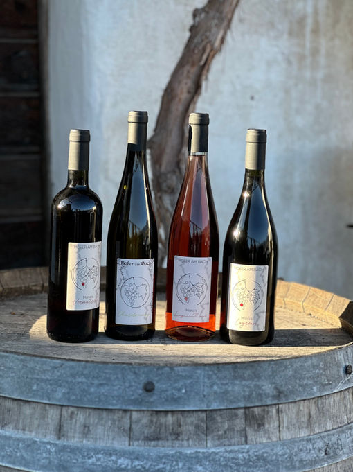 Eigenbauweine von Maria vom Hofer am Bach Hof in Algund mit Verkauf direkt vom Weinbauern.