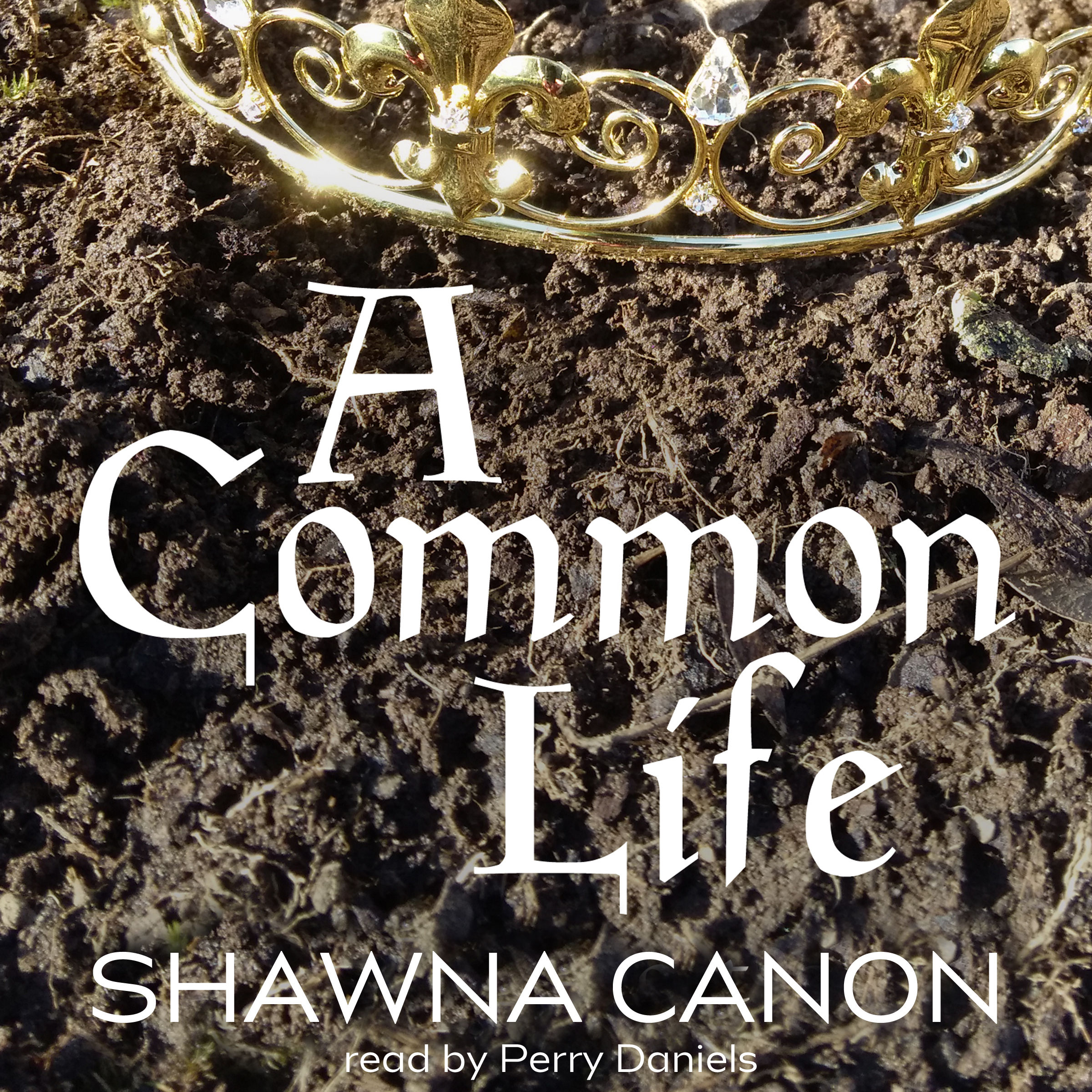 A Common Life audiobook