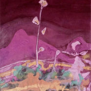 Stephanie Kim <AFTERIMAGE>