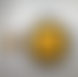 임주형,피카팍 <ICONIQ>