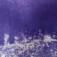 이우현 개인전 <Night in Violette>