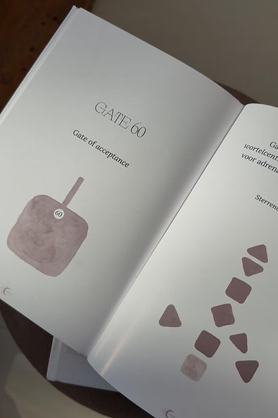 WhatsApp Image 2026-03-21 at 12.18.08 (2).jpeg