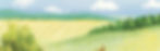 Field.jpg