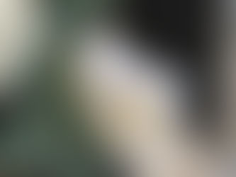 Stationery Gifts for the Stationery lover