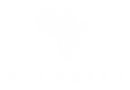 Networks Logo RGB 180 dpi-01.png