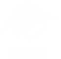 Cricket_South_Africa2.png