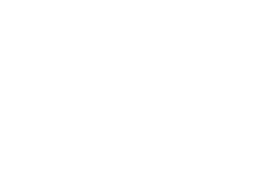 logo blanc.png