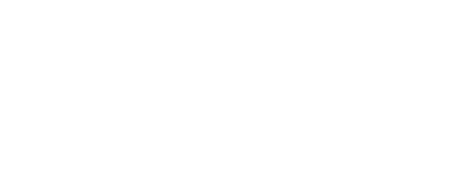 logo 3.png