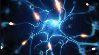 ПОНЯКОГА ‘ЛЕЧЕНИЕТО’ КАКТО НИ ГО ПРЕДЛАГАТ Е ОСНОВАНО НА НЕПРАВИЛНО БИОЛОГИЧНО УРАВНЕНИЕ ….