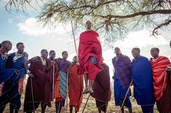 Local Maasai men taking part in the cultural jumping disply