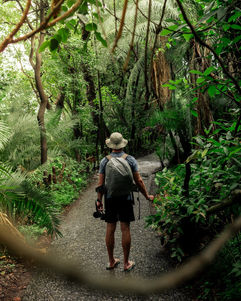 A tourist exploring the rain forest of Victoria Falls
